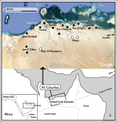 Map and satellite image of Al Gharbia showing main fossil localities. Black circles denote localities with body fossils, white circles denote fossil trackway sites.